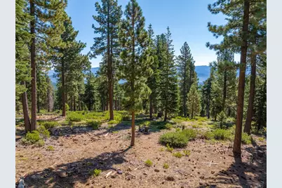 11494 Alder Hill Road, Truckee, CA 96161 - Photo 14