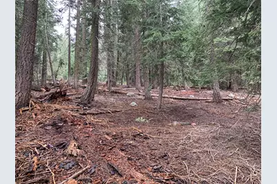 1187 Regency Way, Tahoe Vista, CA 96148 - Photo 2