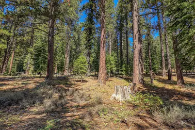 12672 Granite Drive, Truckee, CA 96161 - Photo 12