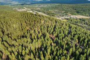 12730 Palisade St, Truckee, CA 96161 - Photo 26