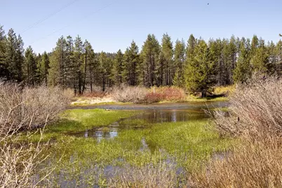 50675 Conifer, Soda Springs, CA 95728 - Photo 2