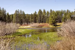 50675 Conifer, Soda Springs, CA 95728 - Photo 2