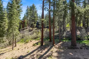 3038 Silver Strike, Truckee, CA 96161 - Photo 28