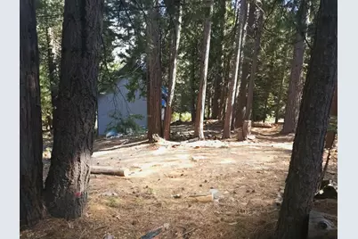 41100 Putt Road, Emigrant Gap, CA 95715 - Photo 2