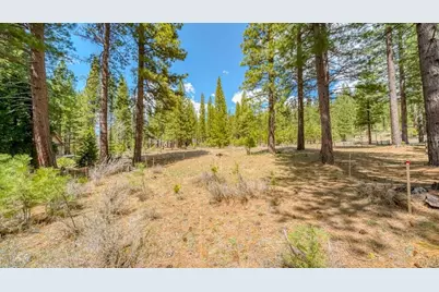 118 Saddle Ridge Road, Clio, CA 96106 - Photo 18