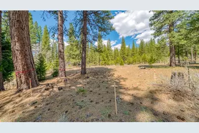 118 Saddle Ridge Road, Clio, CA 96106 - Photo 10