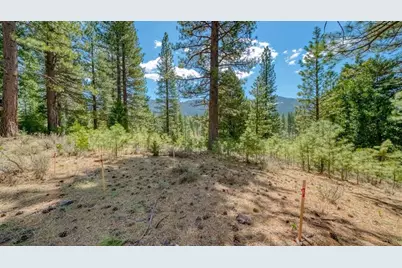 118 Saddle Ridge Road, Clio, CA 96106 - Photo 14