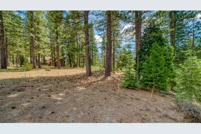 118 Saddle Ridge Road, Clio, CA 96106 - Photo 2