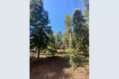 7464 Lily Avenue, Tahoe Vista, CA 96148 - Photo 6