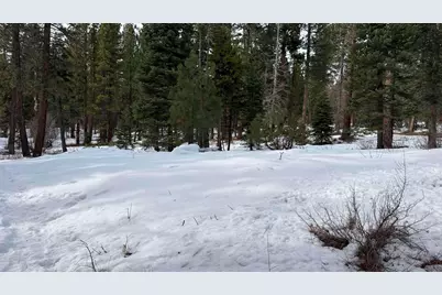 7464 Lily Avenue, Tahoe Vista, CA 96148 - Photo 10