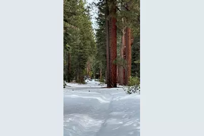 7464 Lily Avenue, Tahoe Vista, CA 96148 - Photo 4