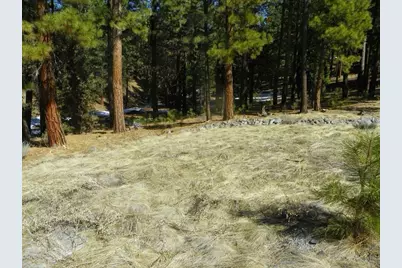 462 Grizzly Ranch Road, Portola, CA 96122 - Photo 4