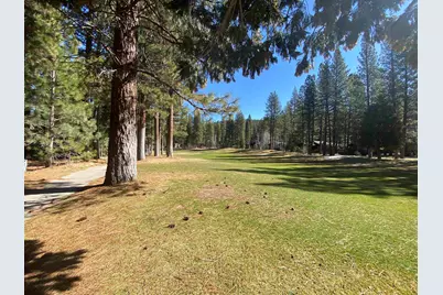 44 Black Bear Trail, Clio, CA 96106 - Photo 2