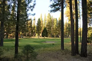 44 Black Bear Trail, Clio, CA 96106 - Photo 1