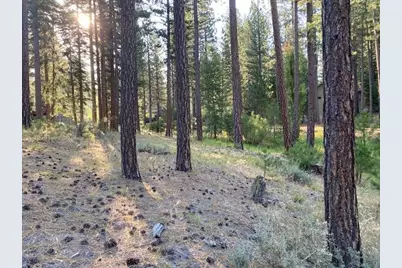 235 Black Bear Trail, Clio, CA 96103 - Photo 2