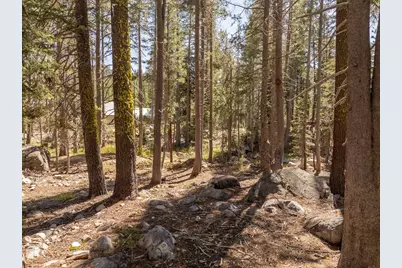 21965 Lotta Crabtree, Soda Springs, CA 95728 - Photo 2