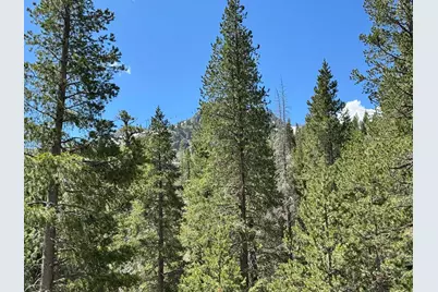 415 Shirley Canyon Road #8, Olympic Valley, CA 96146 - Photo 14