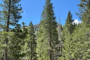415 Shirley Cyn Rd, Olympic Valley, CA 96146 - Photo 14