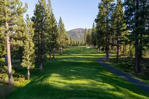 10212 Dick Barter, Truckee, CA 96161 - Photo 22