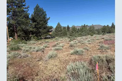 364 Wrangler Drive, Loyalton, CA 96118 - Photo 2