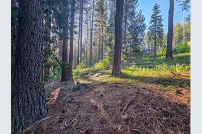 15444 Cedar Point Drive, Truckee, CA 96161 - Photo 12