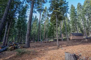 609 Tallac St, Carnelian Bay, CA 96140 - Photo 16