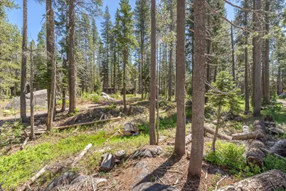 21898 Yuba Trail, Soda Springs, CA 95728 - Photo 14