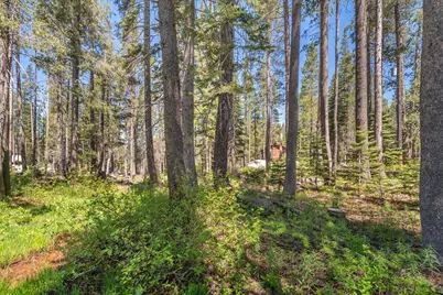 21898 Yuba Trail, Soda Springs, CA 95728 - Photo 8