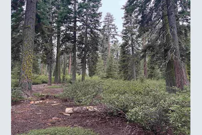 1372 Kings Vista Court, Tahoe Vista, CA 96148 - Photo 8