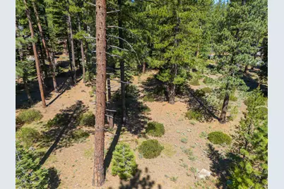 110 Bob Watson, Truckee, CA 96161 - Photo 8