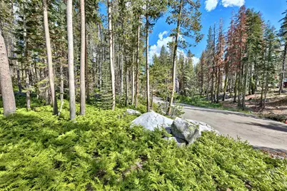 22028 Lotta Crabtree, Soda Springs, CA 95728 - Photo 14