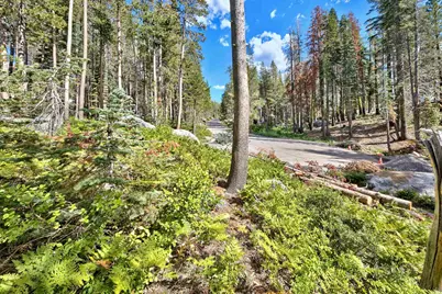 22028 Lotta Crabtree, Soda Springs, CA 95728 - Photo 12