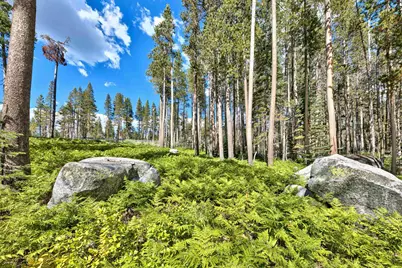22028 Lotta Crabtree, Soda Springs, CA 95728 - Photo 2