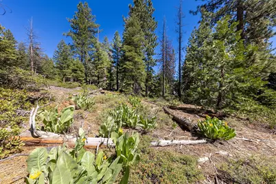 3100 North Lake Boulevard, Tahoe City, CA 96145 - Photo 16