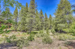 11855 Hope Ct, Truckee, CA 96161 - Photo 16
