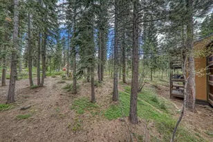 3140 Aspen Grove, Truckee, CA 96161 - Photo 6