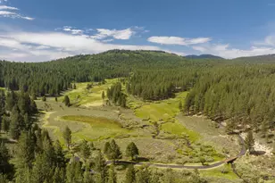7555 State Hwy 89, Sierraville, CA 96126 - Photo 26