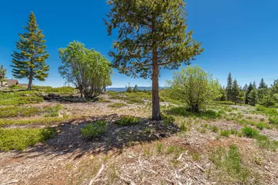 15569 Glacier Way, Truckee, CA 96161 - Photo 14