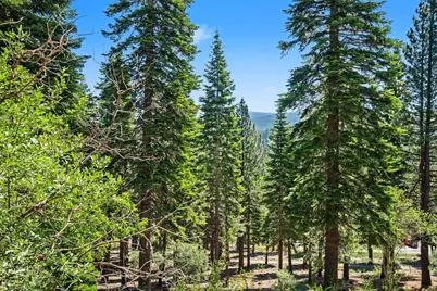 5007 Gold Bend, Truckee, CA 96161 - Photo 20