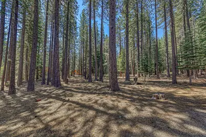 15961 Northwoods Boulevard, Truckee, CA 96161 - Photo 22