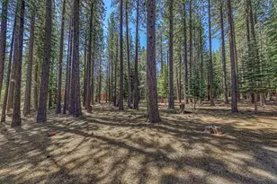15961 Northwoods Blvd, Truckee, CA 96161 - Photo 22