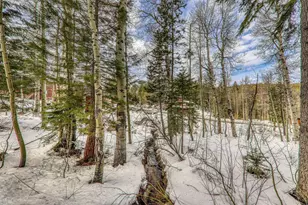 1018 Snow Crest Rd, Alpine Meadows, CA 96146 - Photo 26