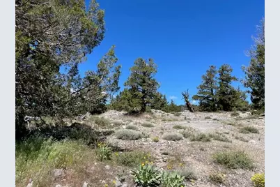 019-080-023-000 Groundhog Rock, Sierraville, CA 96126 - Photo 18