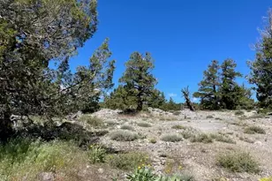 019-080-023-000 Groundhog Rock, Sierraville, CA 96126 - Photo 18