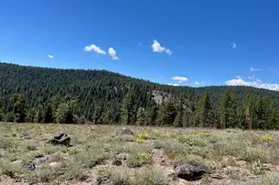 019-080-023-000 Groundhog Rock, Sierraville, CA 96126 - Photo 20