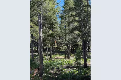 12903 Northwoods Boulevard, Truckee, CA 96161 - Photo 6