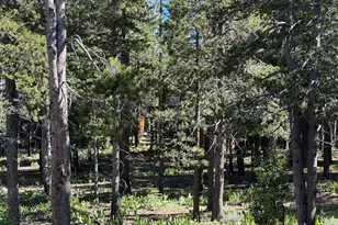 12903 Northwoods Blvd, Truckee, CA 96161 - Photo 6