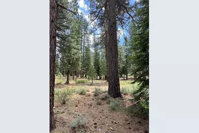 15411 Kent Drive, Truckee, CA 96161 - Photo 10