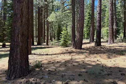 12510 Granite Drive, Truckee, CA 96161 - Photo 4