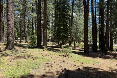 12510 Granite Drive, Truckee, CA 96161 - Photo 16
